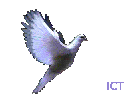Peace